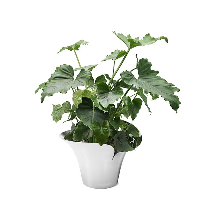 Bloom Botanica blomsterpotte for store planter i hjemmet