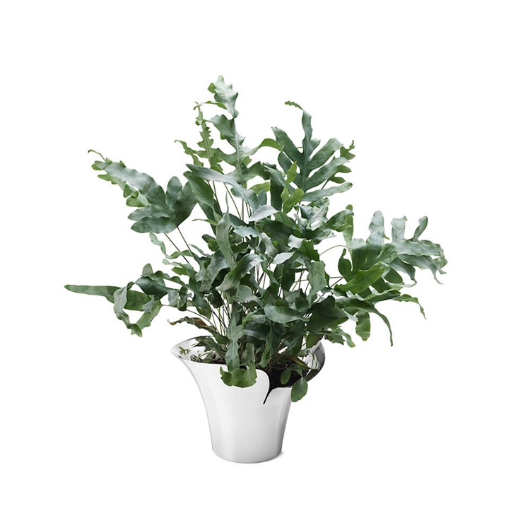 Georg Jensen Bloom Blomsterpotte for mellomstore planter